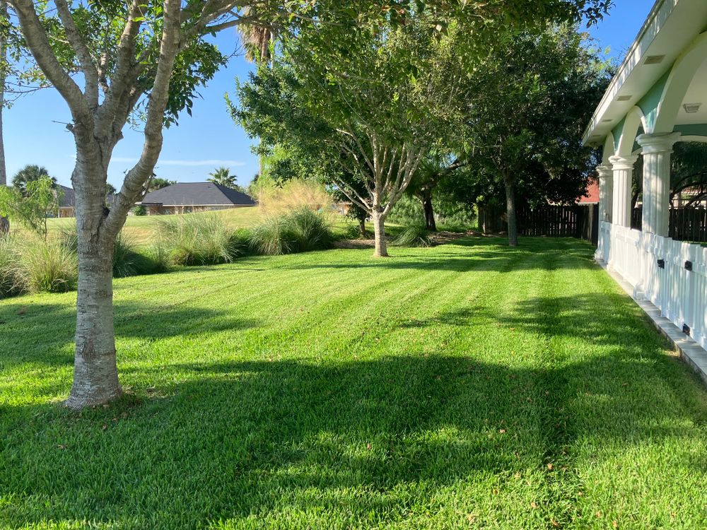 Lawn Care for John’s Lawns in South Padre Island, TX