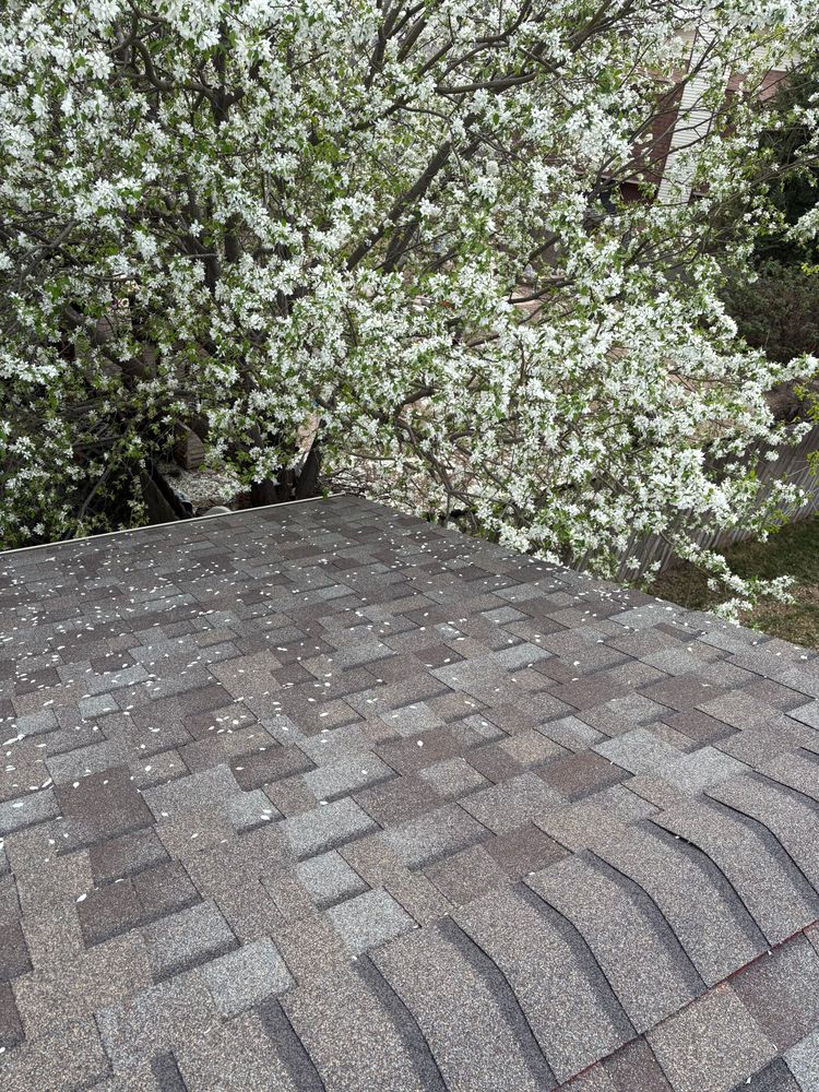 All Photos for Divine Roofing LLC in Severance, CO