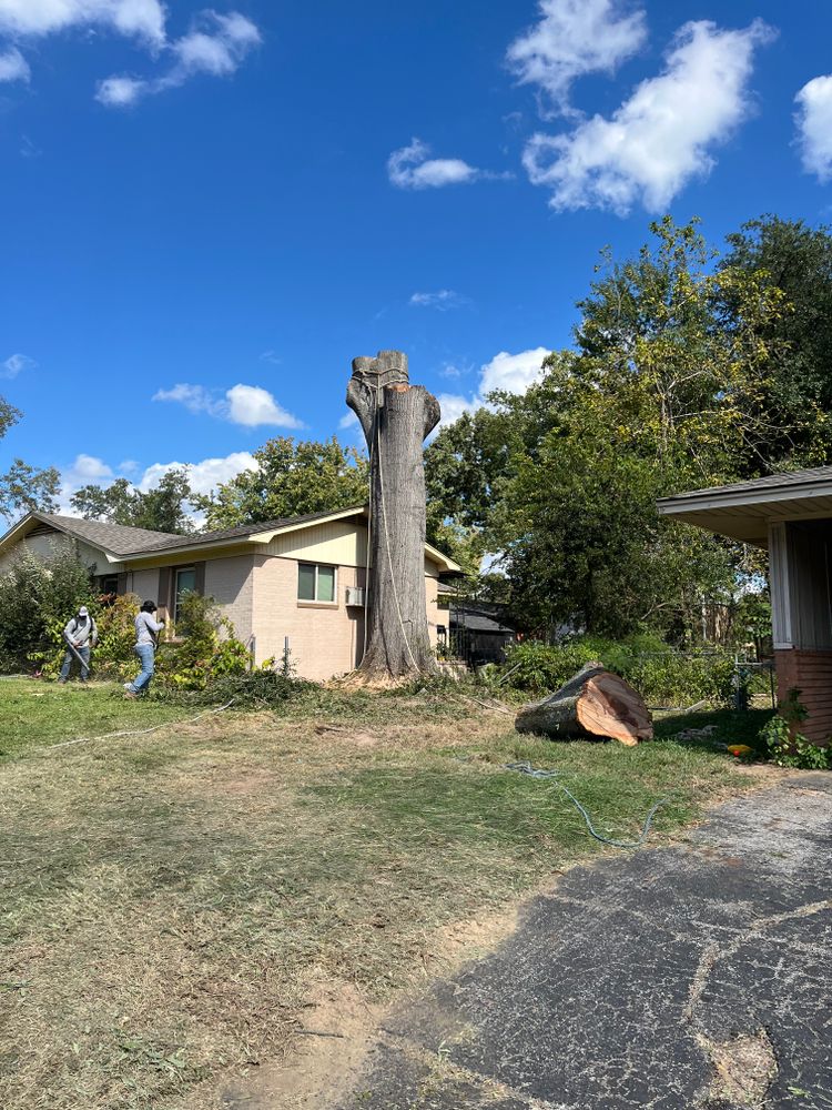 All Photos for JC Land and Tree Service in Kilgore, TX