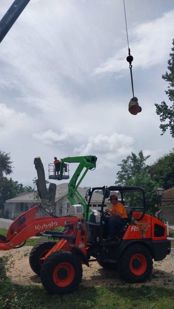 All Photos for Daniel Hickey’s Tree Service in DeLand, FL
