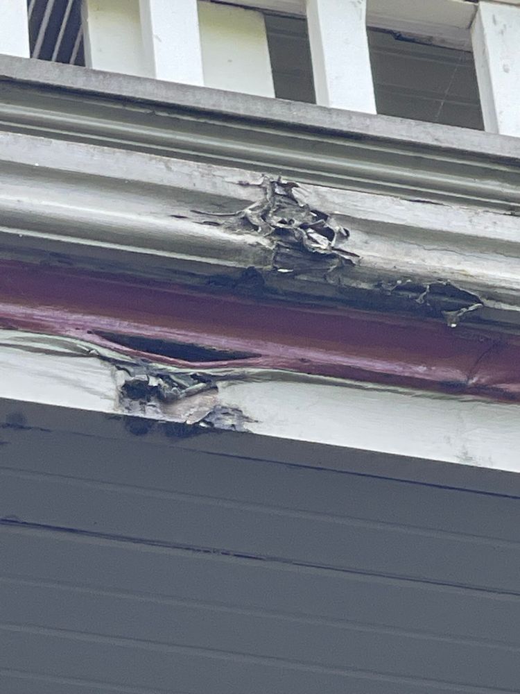 All Photos for Tony's Remodeling & Painting in Renton, WA