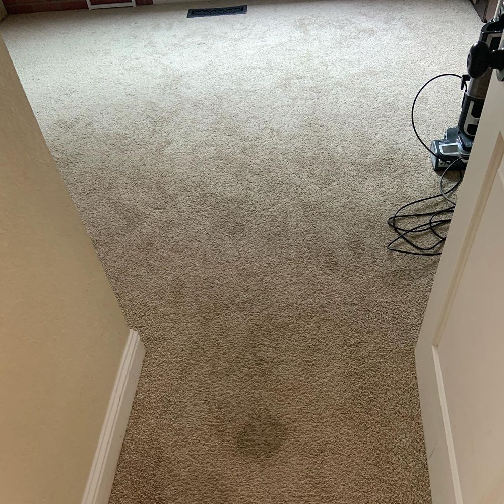 Carpet Cleaning for Randy’s Janitorial in Vallejo-Fairfield, CA