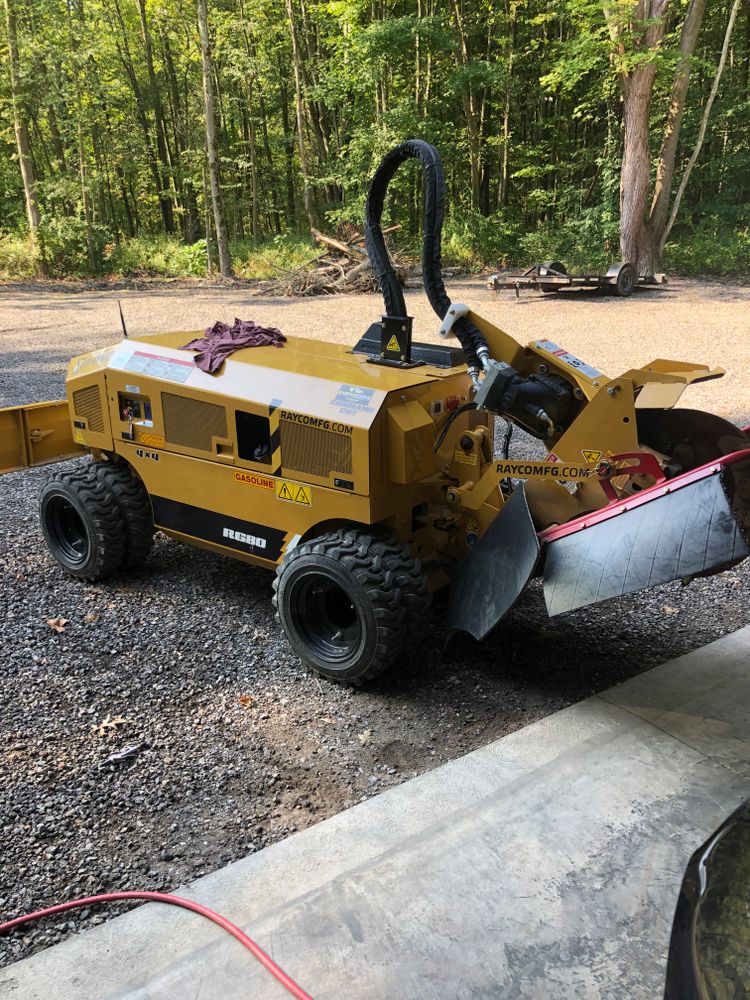 All Photos for Dean's Stump Removal in Youngstown, OH