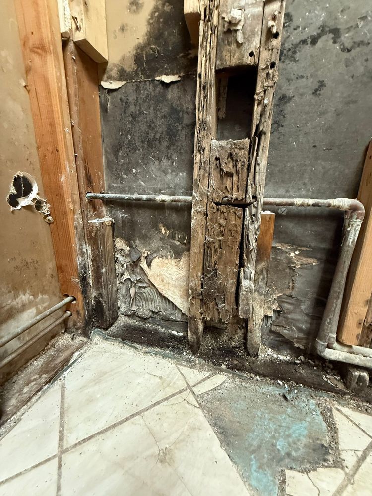 All Photos for ACM Environmental in Salt Lake City, UT