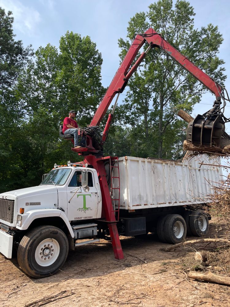 All Photos for M & J Tree Service & Stump Grinding in Auburn, GA