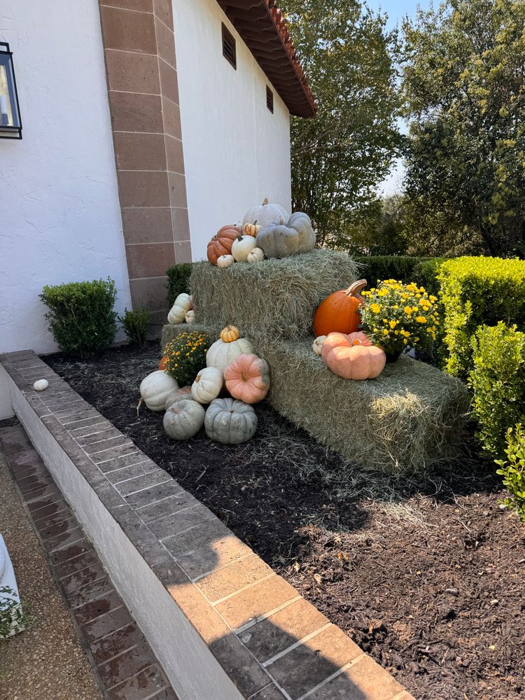 Fall Decorations  for Espinoza Landscape & Construction  in San Antonio, TX