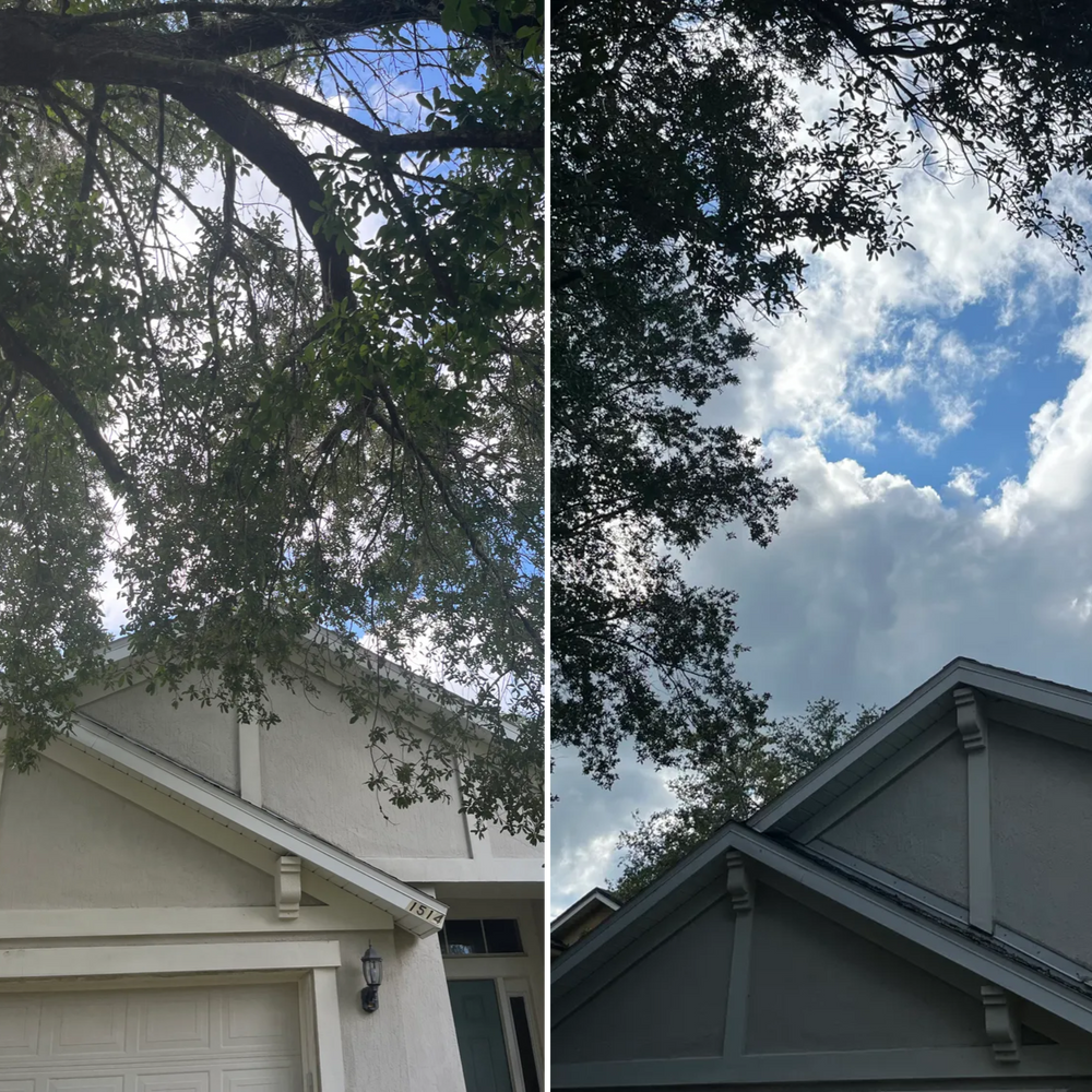 All Photos for Top Notch Tree Experts in Orange Park, FL