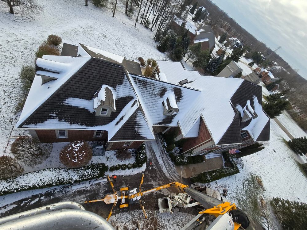 All Photos for D Hale Tree Service in Ann Arbor, MI