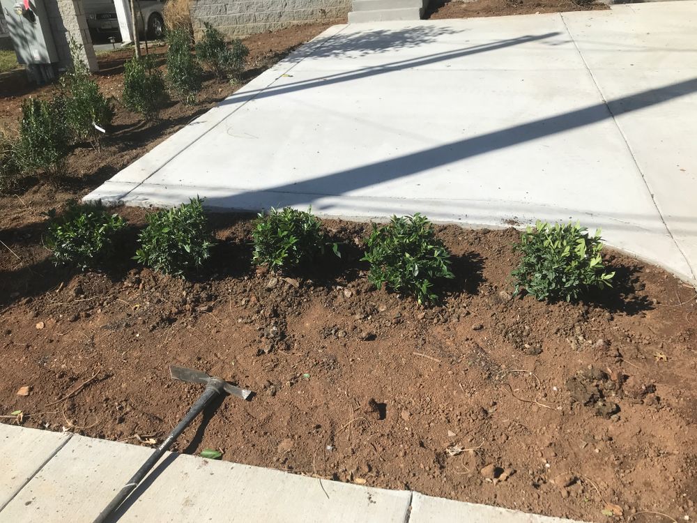 All Photos for Grass Management in Nashville, TN