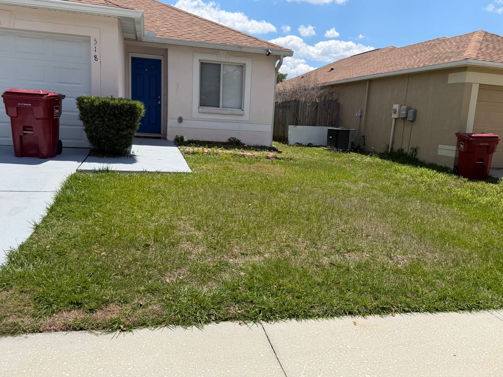 All Photos for The Yardman in Tampa, FL