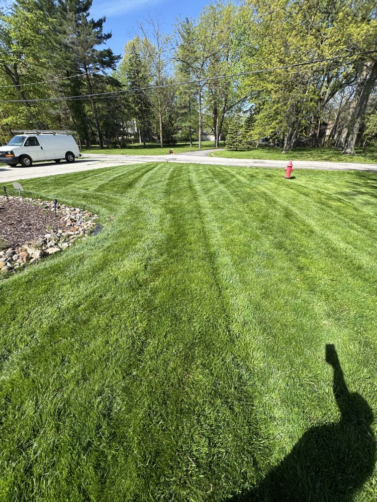 All Photos for Yard Theory L.L.C. in Willowick, OH