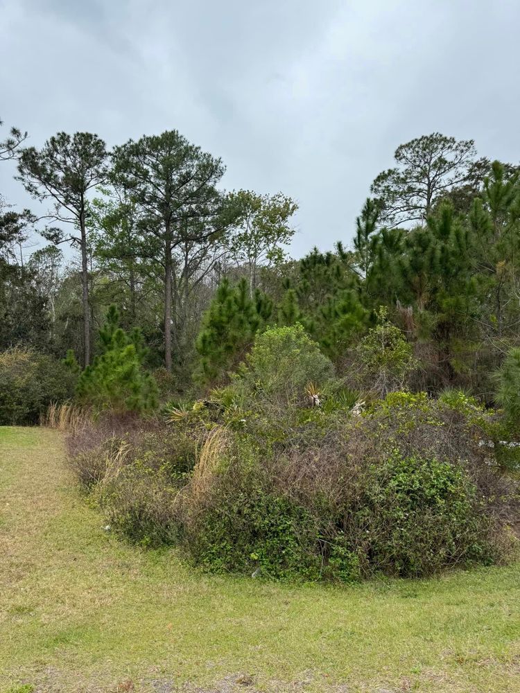 Our Bush Hogging service efficiently clears overgrown vegetation from your property, providing a clean and manicured look while promoting healthy growth. Trust our expertise for effective land maintenance solutions. for High Standards Land Services in Saint Augustine, FL