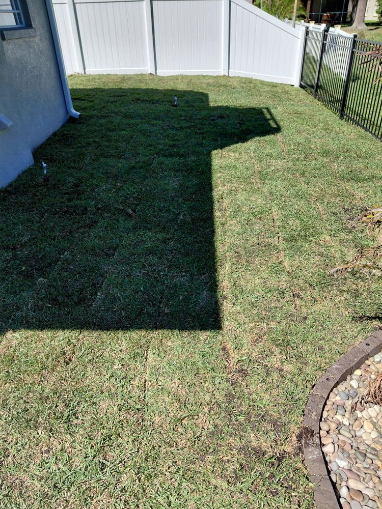 All Photos for Gulf Bay Sod in Clearwater, FL