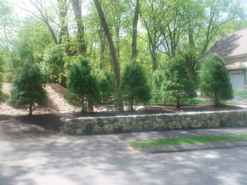 All Photos for Quinn Builders Co in Burlington, MA