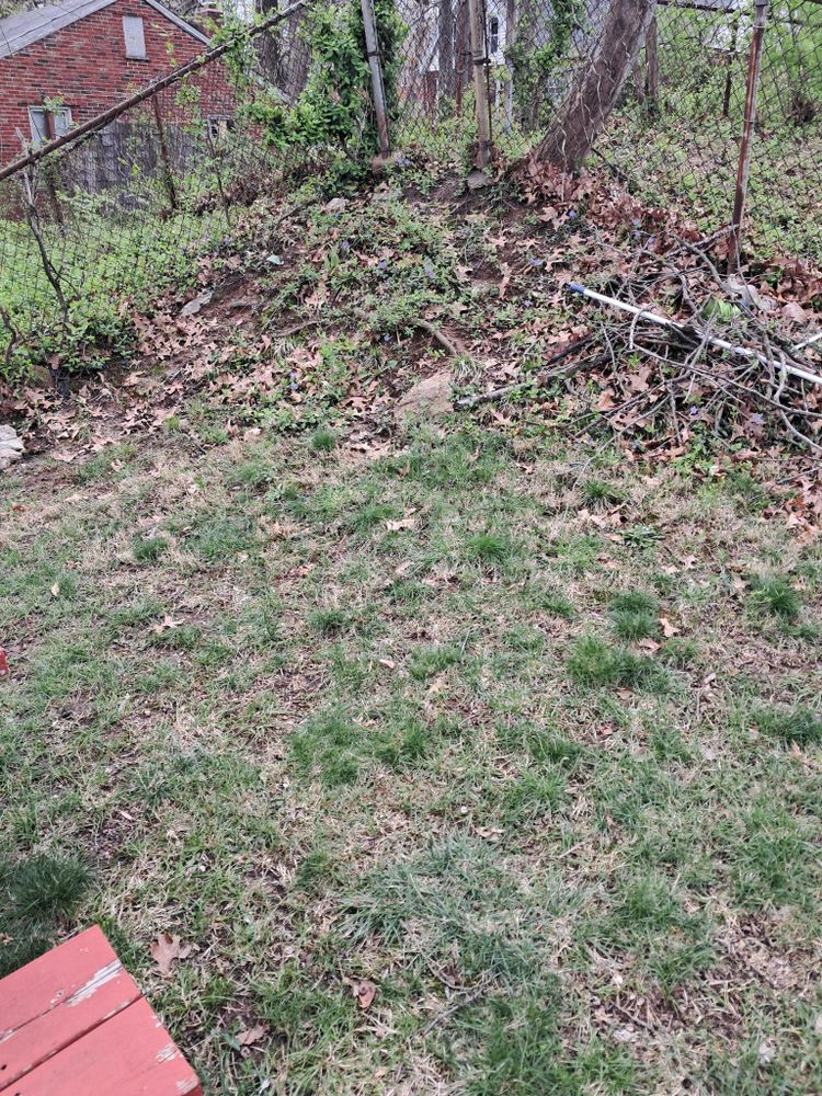 All Photos for Jackson Lawn Services LLC in St Louis, MO