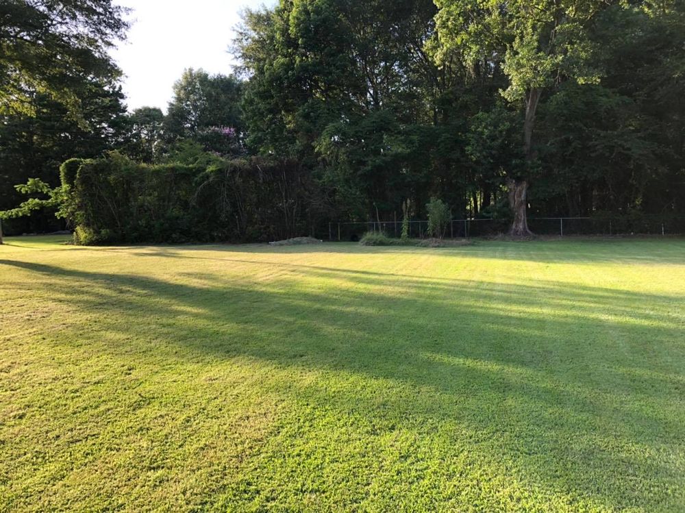 All Photos for Lawn Rescue in Texarkana, TX