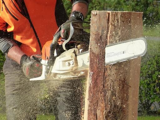 All Photos for Sloan Tree Service in Aurora, CO