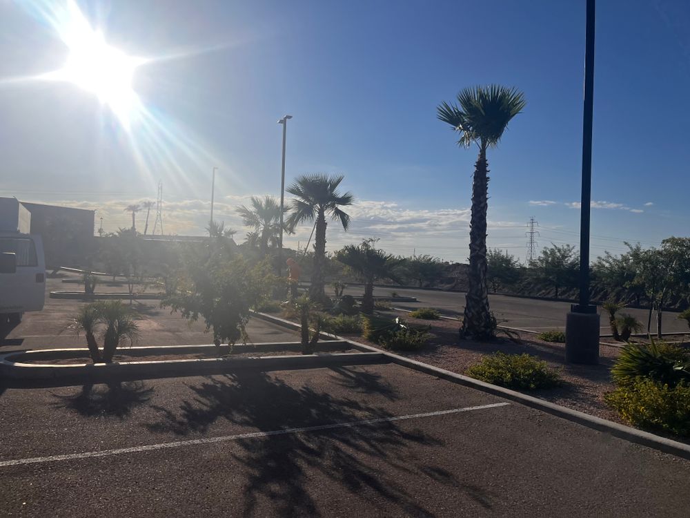 Commercial Gravel Installation for AZ Tree & Hardscape Co in Surprise, AZ