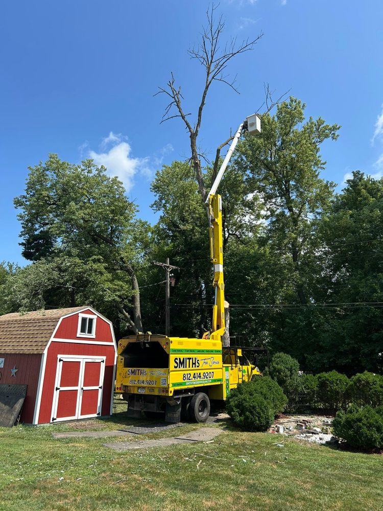 All Photos for SMITHs Tree Service in Columbus, IN