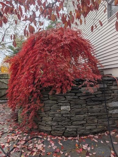 All Photos for Evolution Earthscapes, LLC in Ludlow, MA