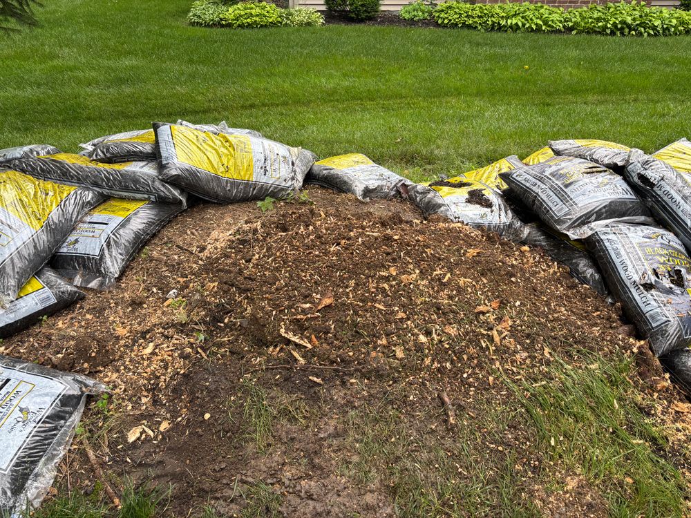 All Photos for Conrad's Stump Removal in Columbus, IN