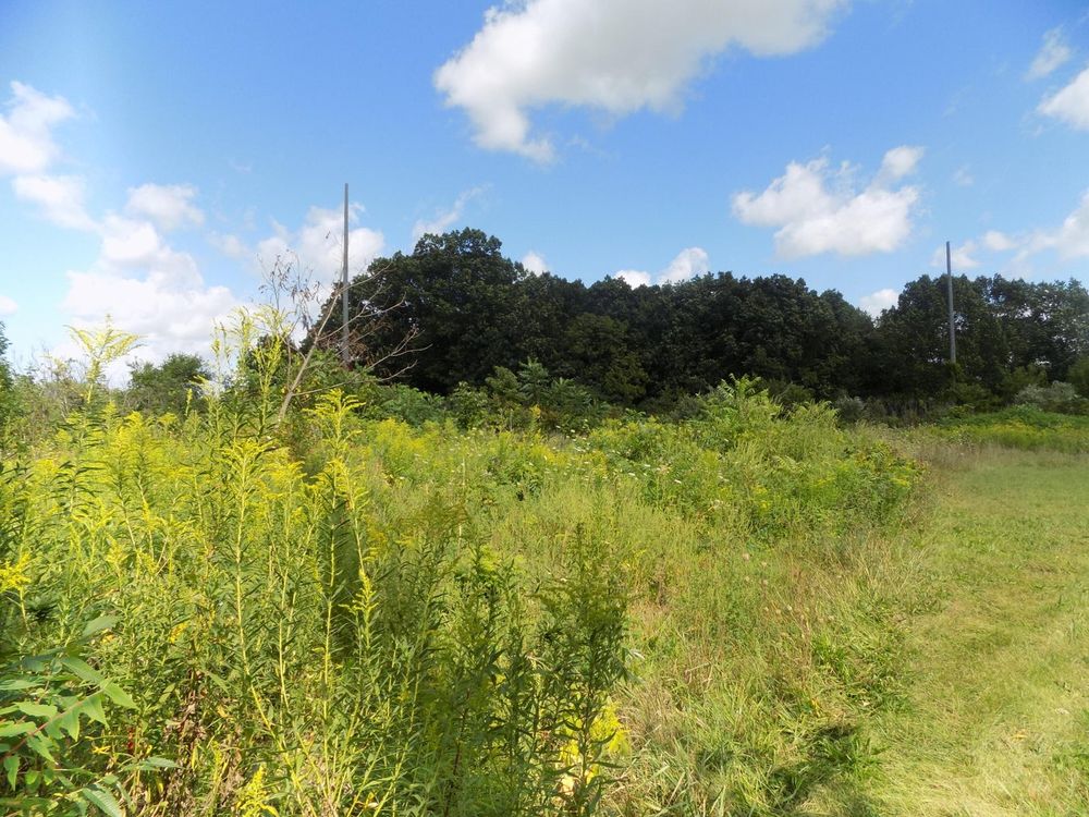All Photos for Tala Real Estate in Coloma,  Michigan