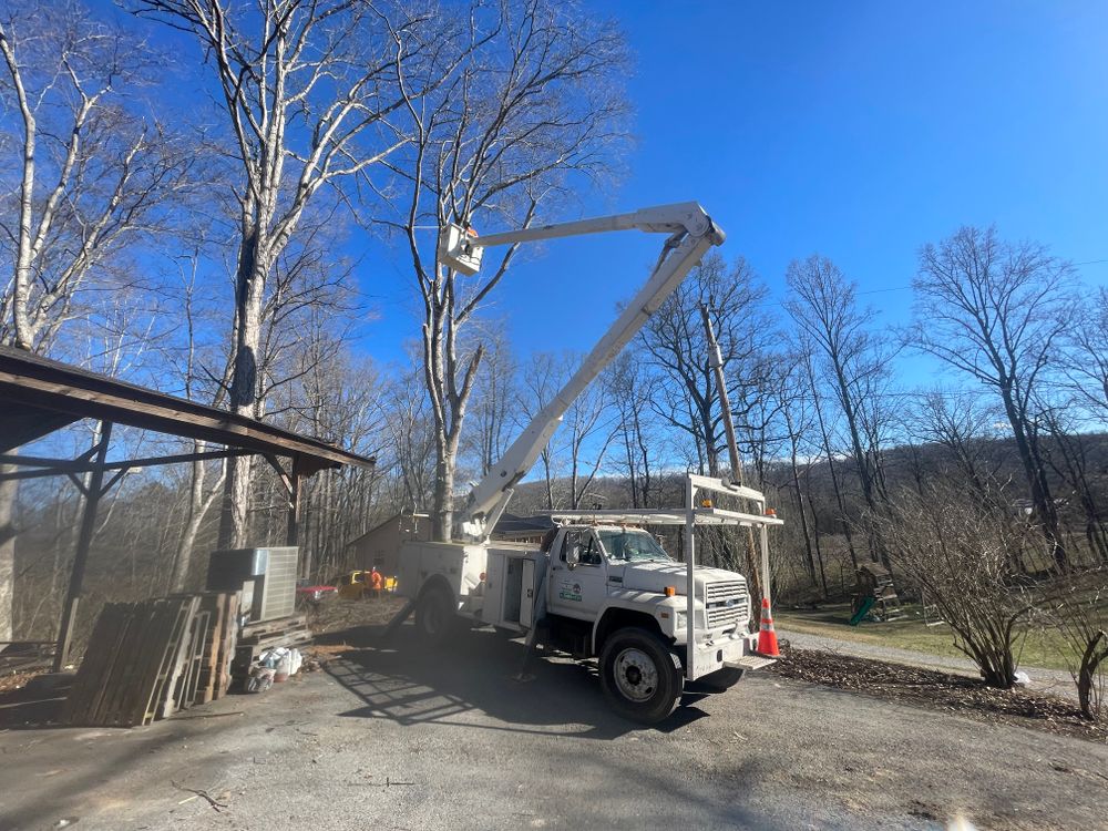 All Photos for Lucky’s Tree Removal and Landscape Services in Knoxville, TN