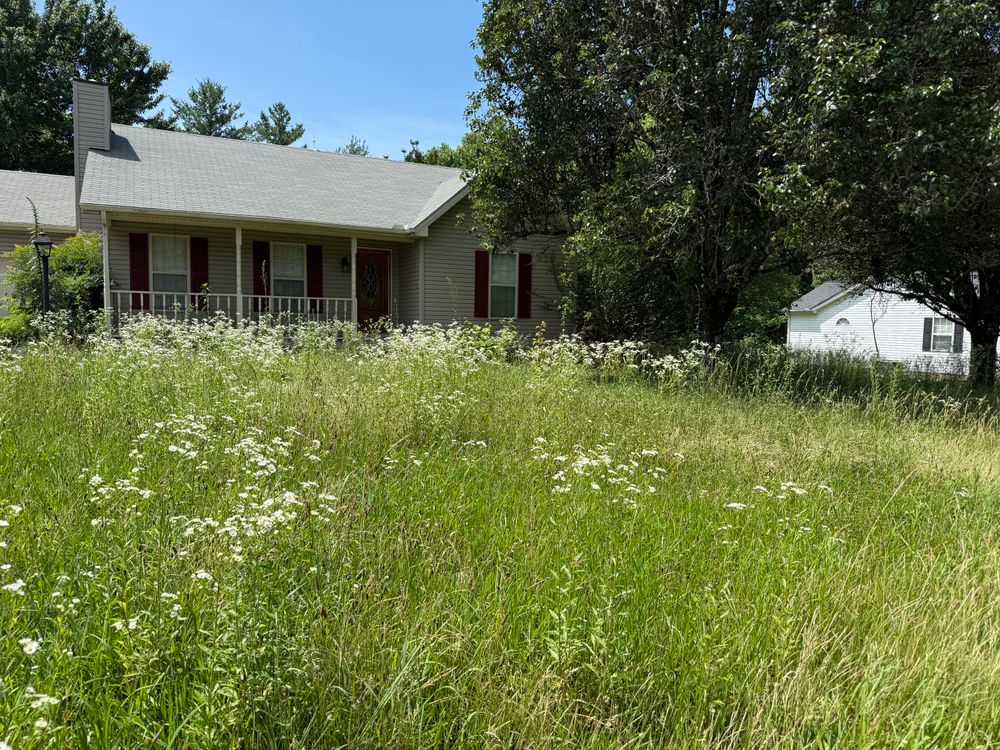 All Photos for Arnold’s Outdoor Solutions in Woodbury, TN