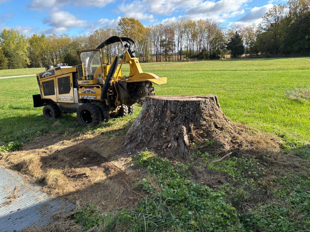 All Photos for Conrad's Stump Removal in Columbus, IN