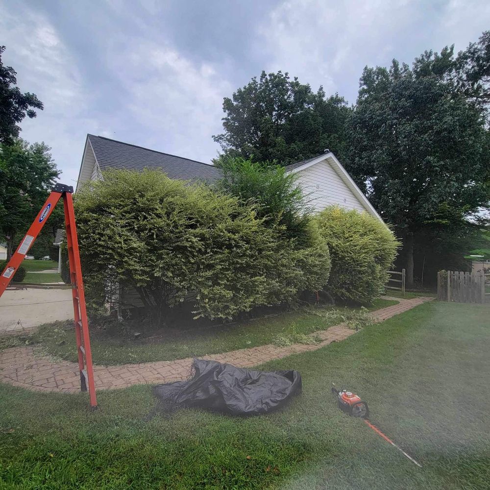 All Photos for Stem Tree Service in Belmont, NC