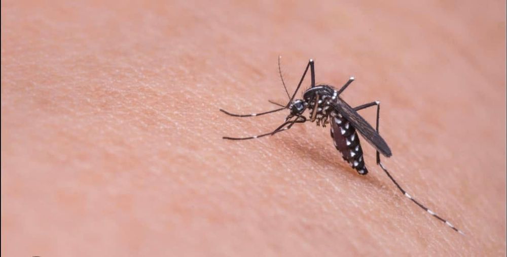 All Photos for All-In Pest Control & Home Solutions in Worthington, IN