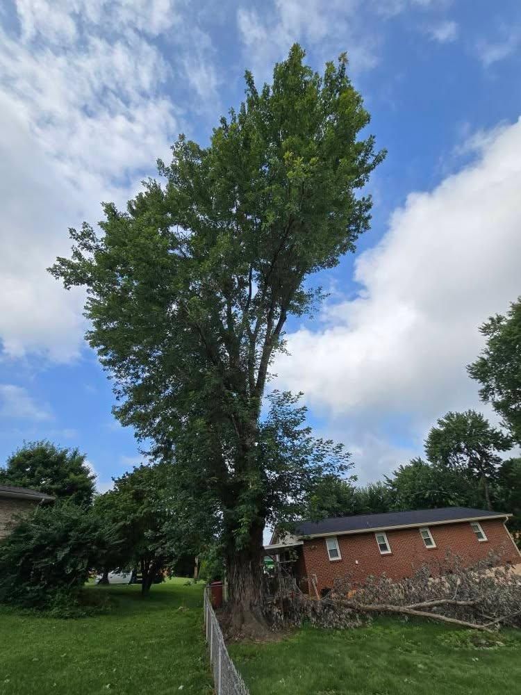 All Photos for M&L Lumber and Excavating in Jonesborough, TN