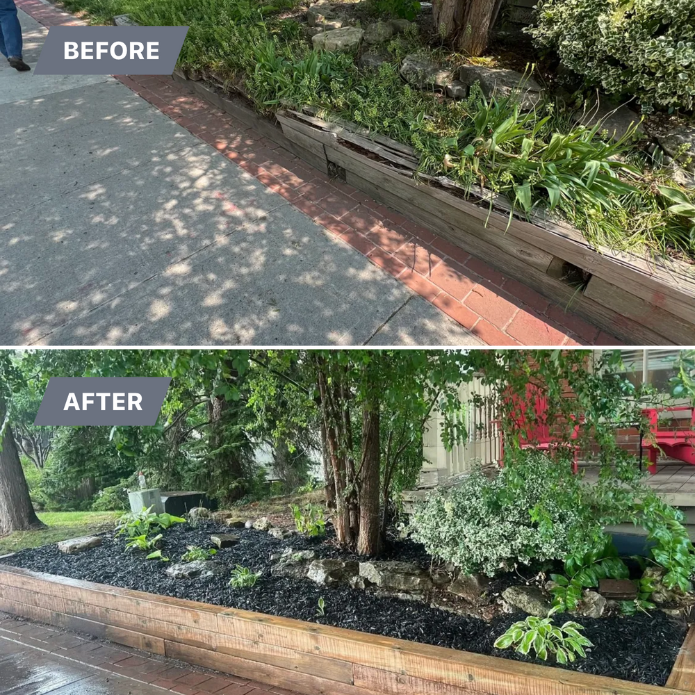 All Photos for CMN Exterior Maintenance in Hamilton, ON