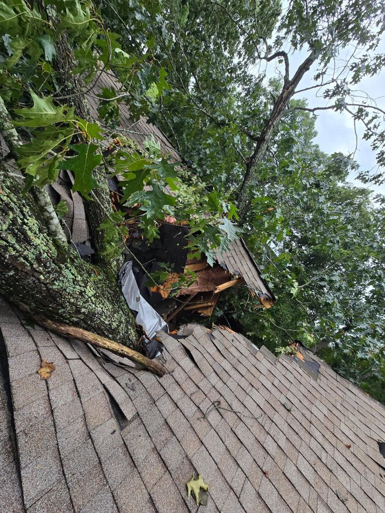 All Photos for M&L Lumber and Excavating in Jonesborough, TN