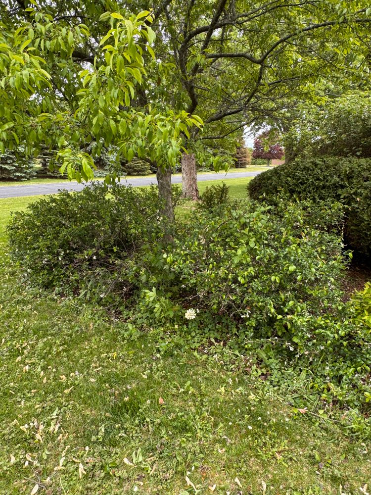 All Photos for H&L Lawn Care LLC in Twin Lakes, WI