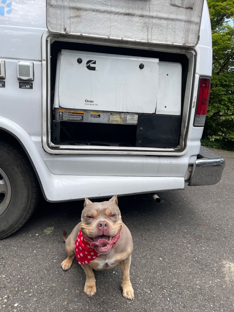 The Generator Guy team in Puyallup, WA - people or person