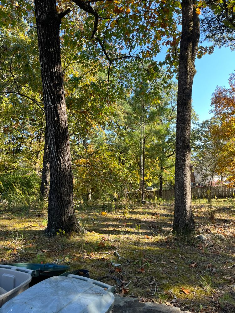 All Photos for J.P Landscaping and excavation in Chattanooga, TN