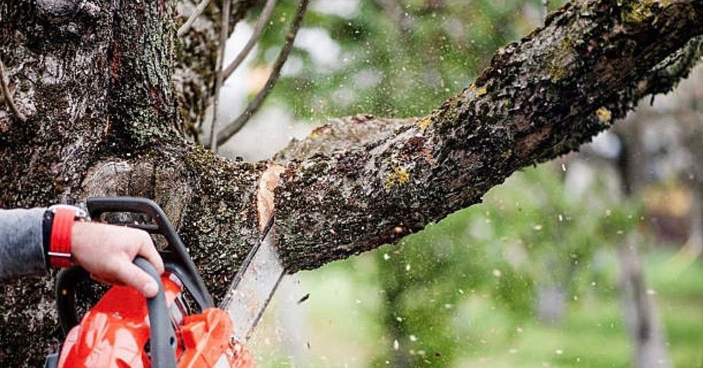 Wright Lawn Services team in Ozark, MO - people or person