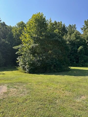 All Photos for Lewis Oaks Landscaping in King and Queen County, VA