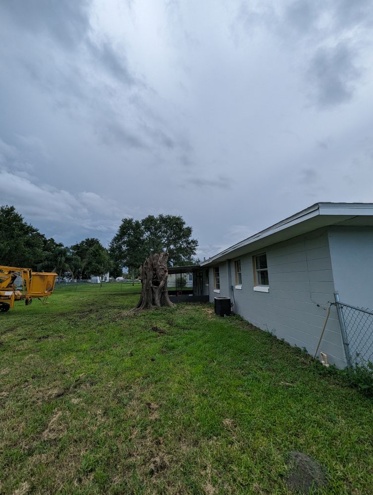 All Photos for Regal Tree Service and Stump Grinding in Wauchula, FL