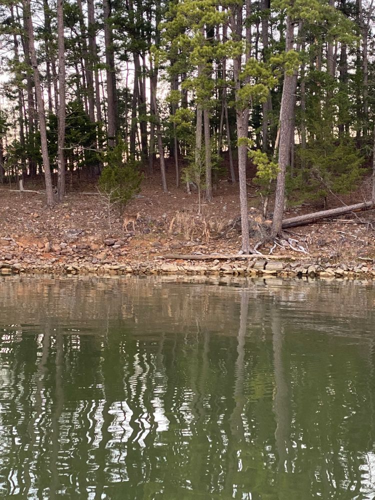 All Photos for Daniel's Dumpsters & Land Improvements in Monroe, LA