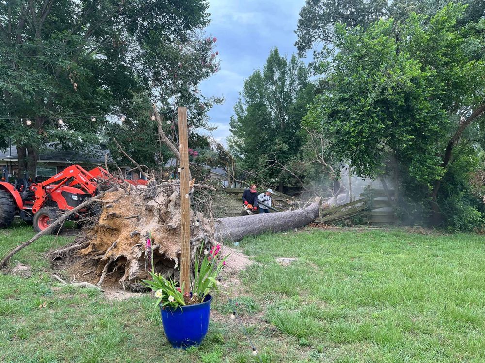 All Photos for JC Land and Tree Service in Kilgore, TX