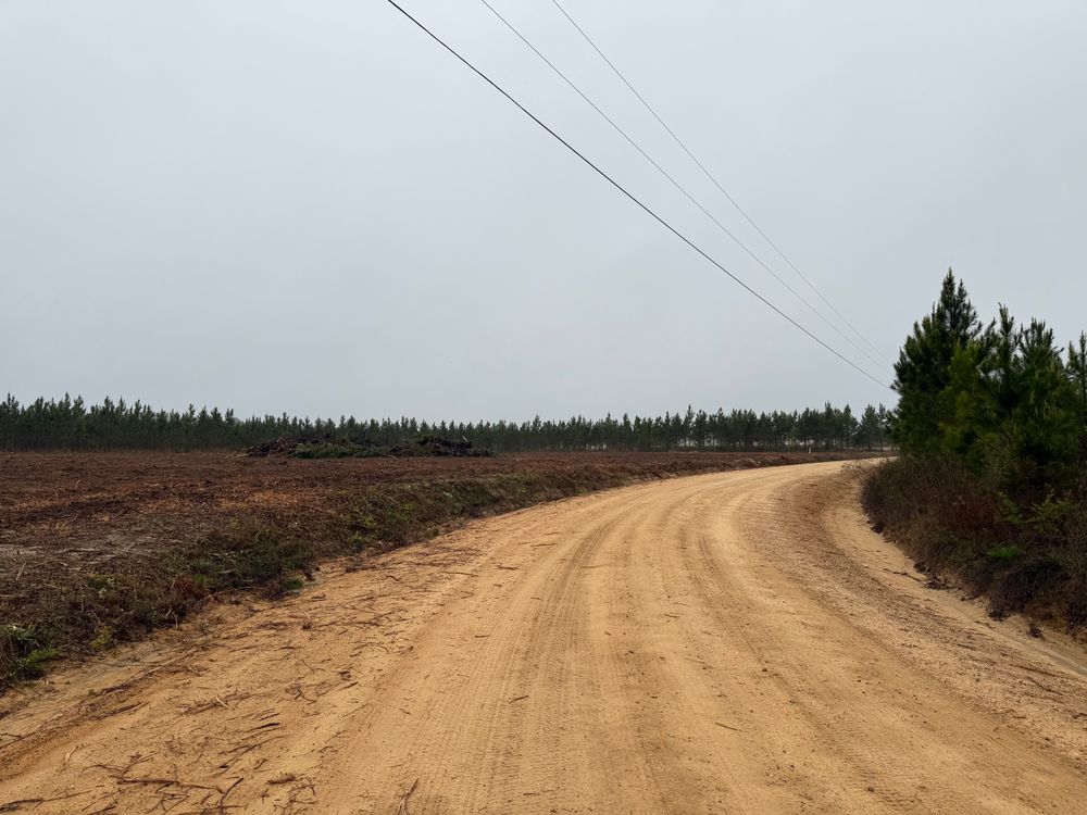 All Photos for T N L - Tree and Land Service in Reynolds, GA