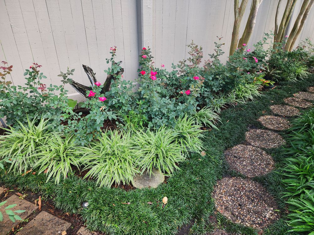All Photos for Bruno's Professional Lawn's & Landscape in Beaumont, TX