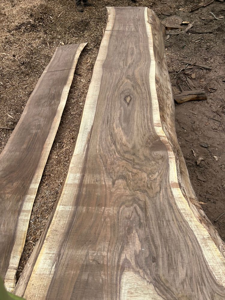 All Photos for Brocks Tree Service LLC in Rogersville, TN