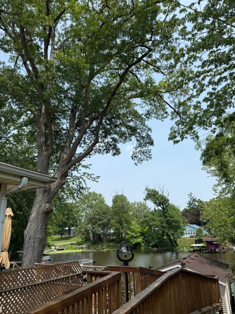 All Photos for Hunnicutt’s Tree Service L.L.C. in Monticello, IN