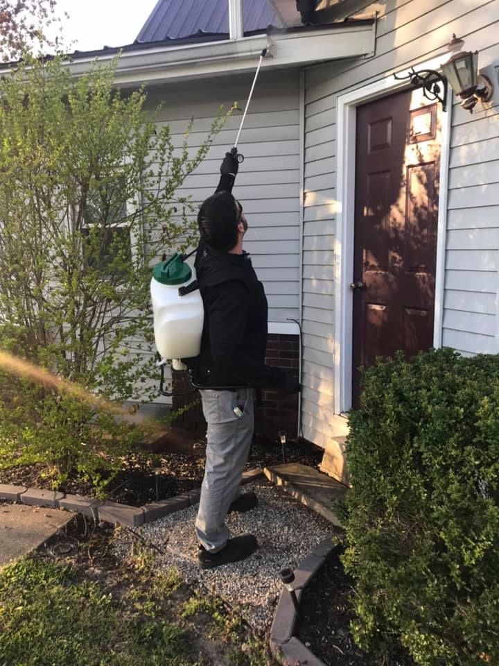 Our Termite Inspection & Treatment service offers thorough inspections and effective solutions to protect your home from termite damage, ensuring long-term safety and peace of mind for homeowners. for All-In Pest Control & Home Solutions in Worthington, IN