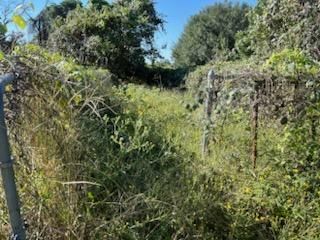 All Photos for Oviedo Land & Garden in Bastrop, TX