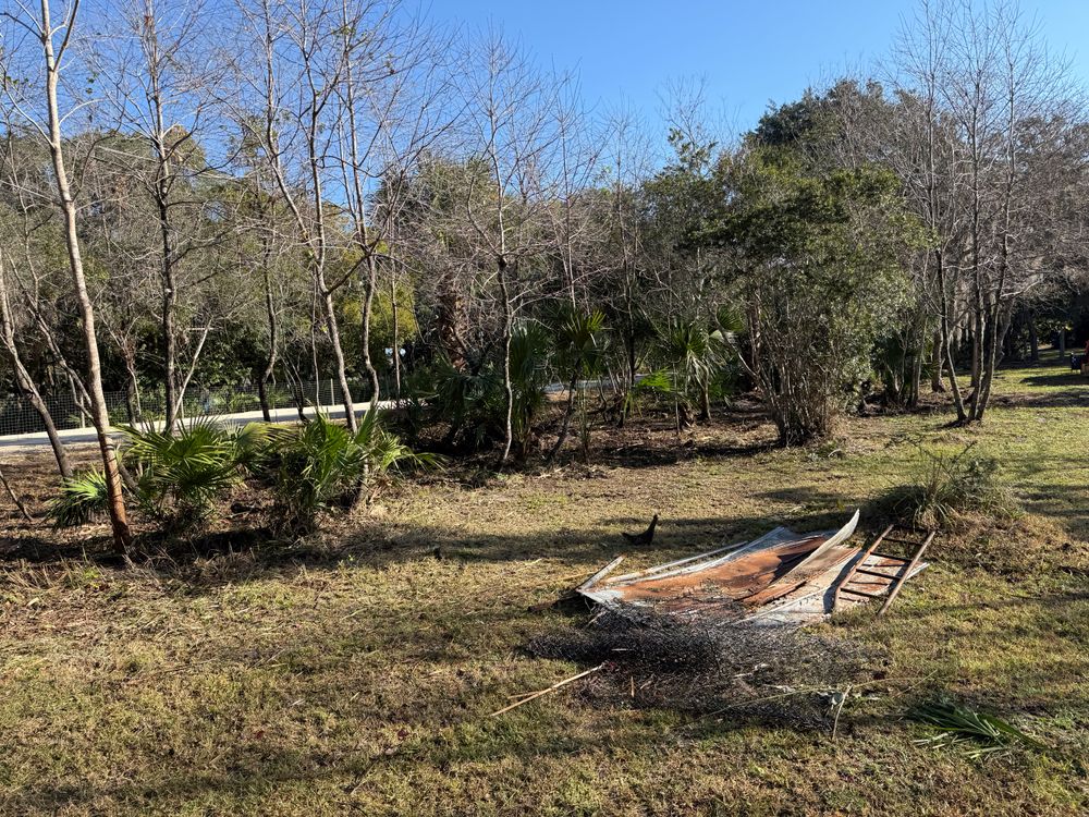 All Photos for Amerigrown Tree And Lawn in Apopka, FL