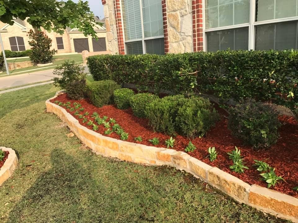 Tree Valley Landscaping team in Dallas, TX - people or person